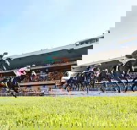 Rosehill Gardens Racecourse - Whitsundays Tourism