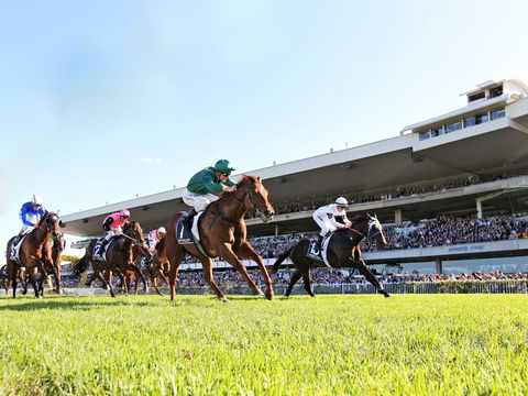 Rosehill Gardens Racecourse - Brisbane Tourism 0