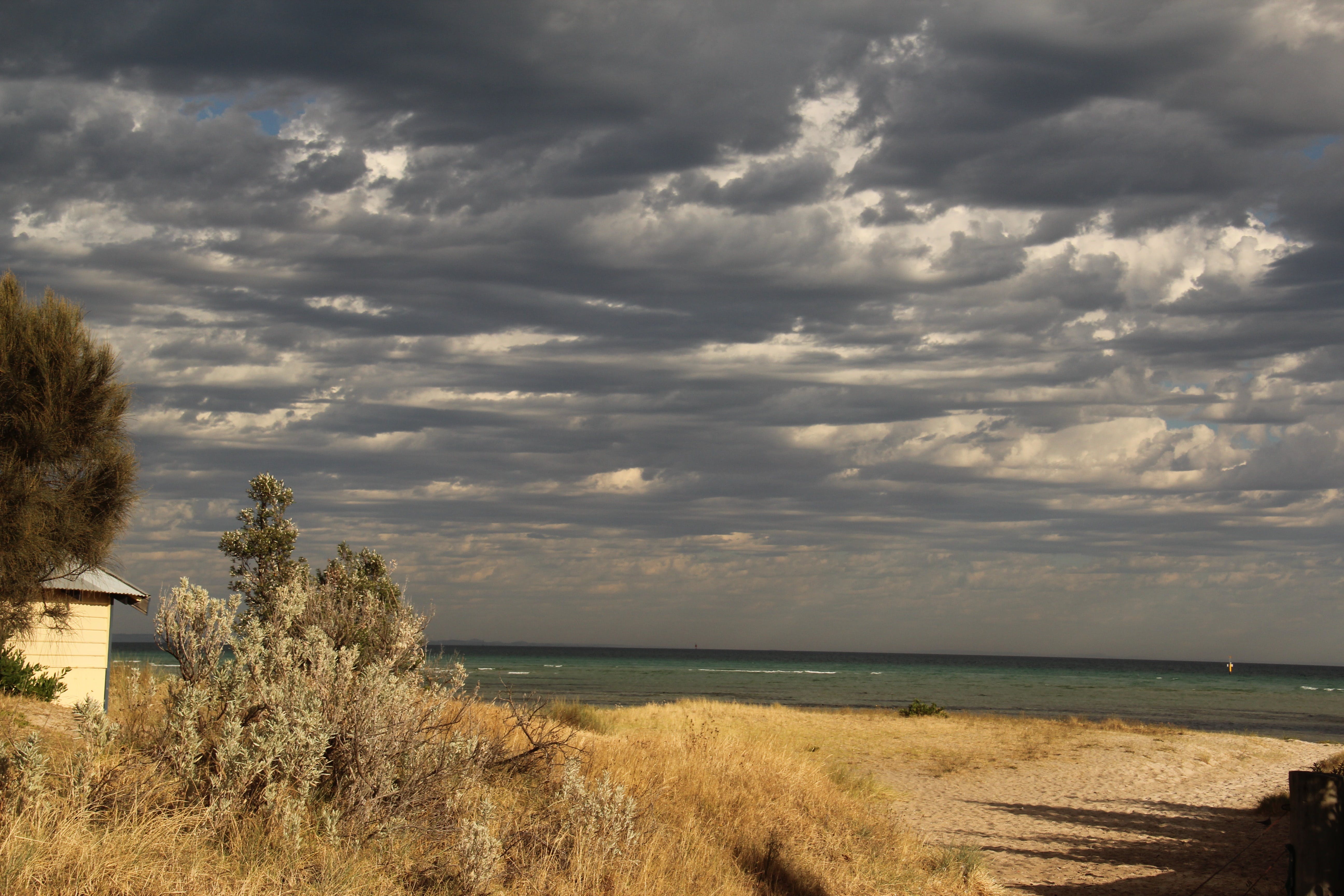 Rosebud Beach - thumb 0