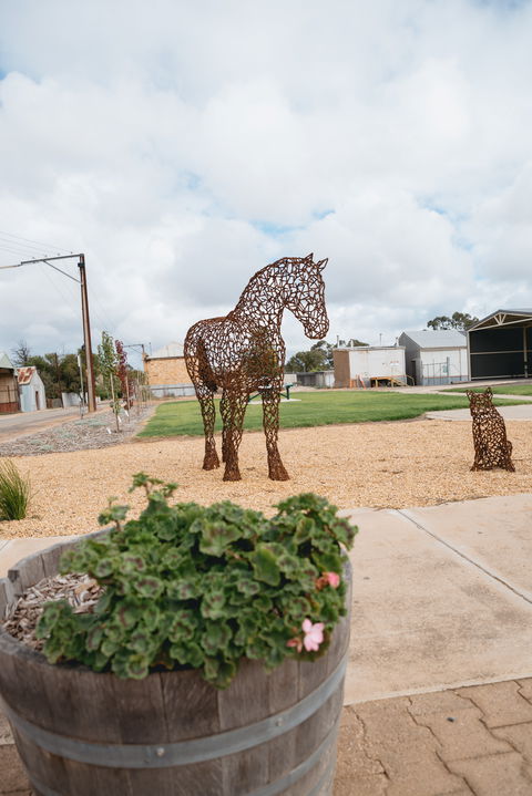 Saddleworth - Wagga Wagga Accommodation 0