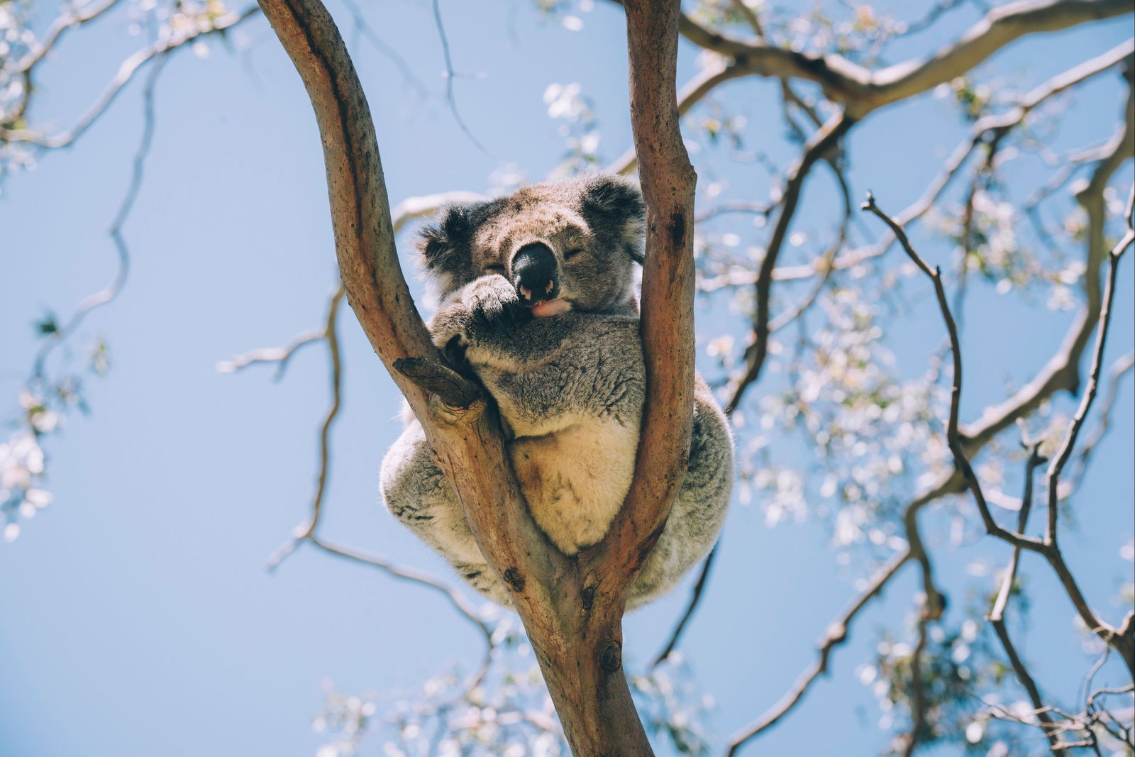 Samford Conservation Park and Bunyaville Conservation Park Logo and Images