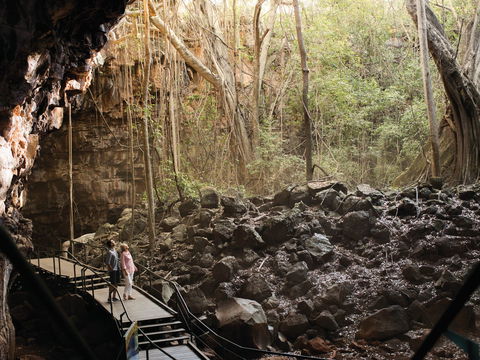 Savannah Way - Whitsundays Accommodation 0