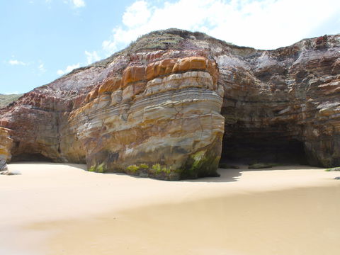 Shelley Caves - Accommodation Port Macquarie 0