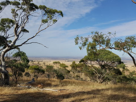 Spring Gully Conservation Park - Kingaroy Accommodation 1
