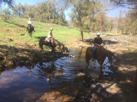 Tamworth And Kootingal Horse Riding Adventures - Car Rental 2