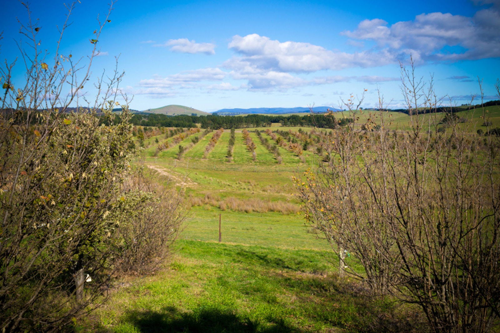 Tarago NSW Accommodation Ballina