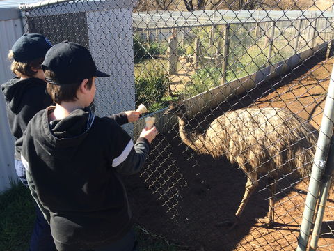 Taralga Wildlife Park - Accommodation Ballina 2