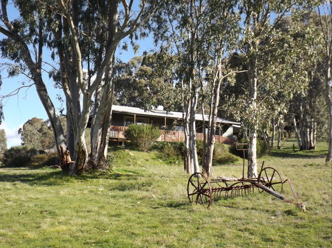 Taralee Orchards - Kingaroy Accommodation 2