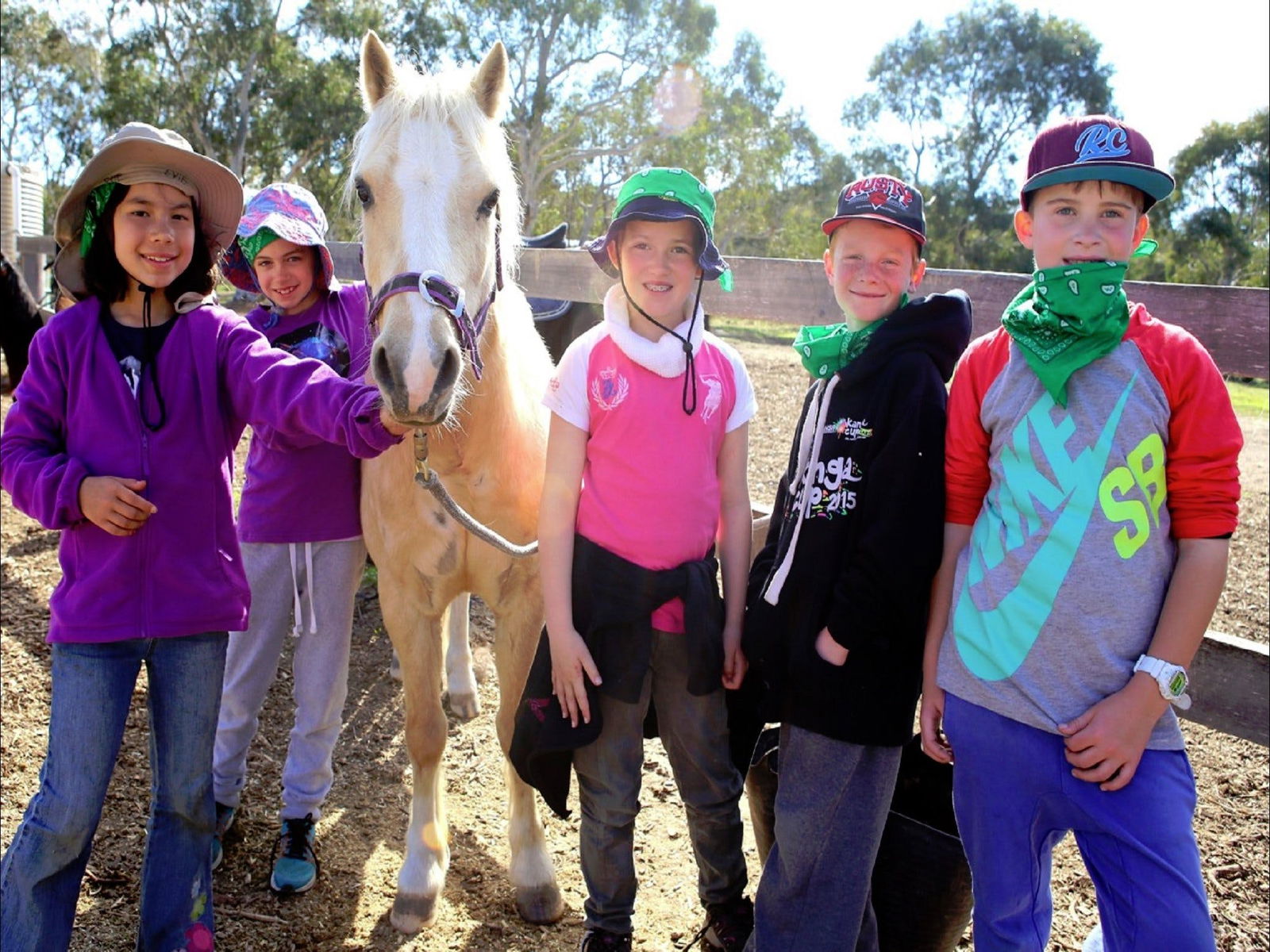The Saddle Camp