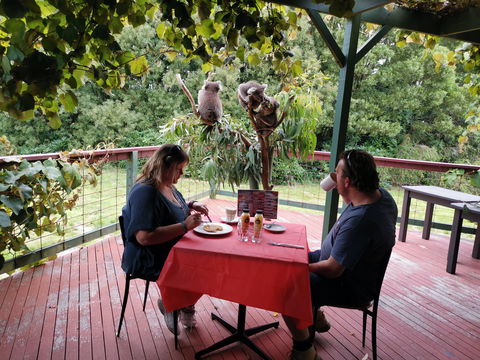 The Aussie Stop Offering Breakfast With Koalas - Accommodation Noosa 0