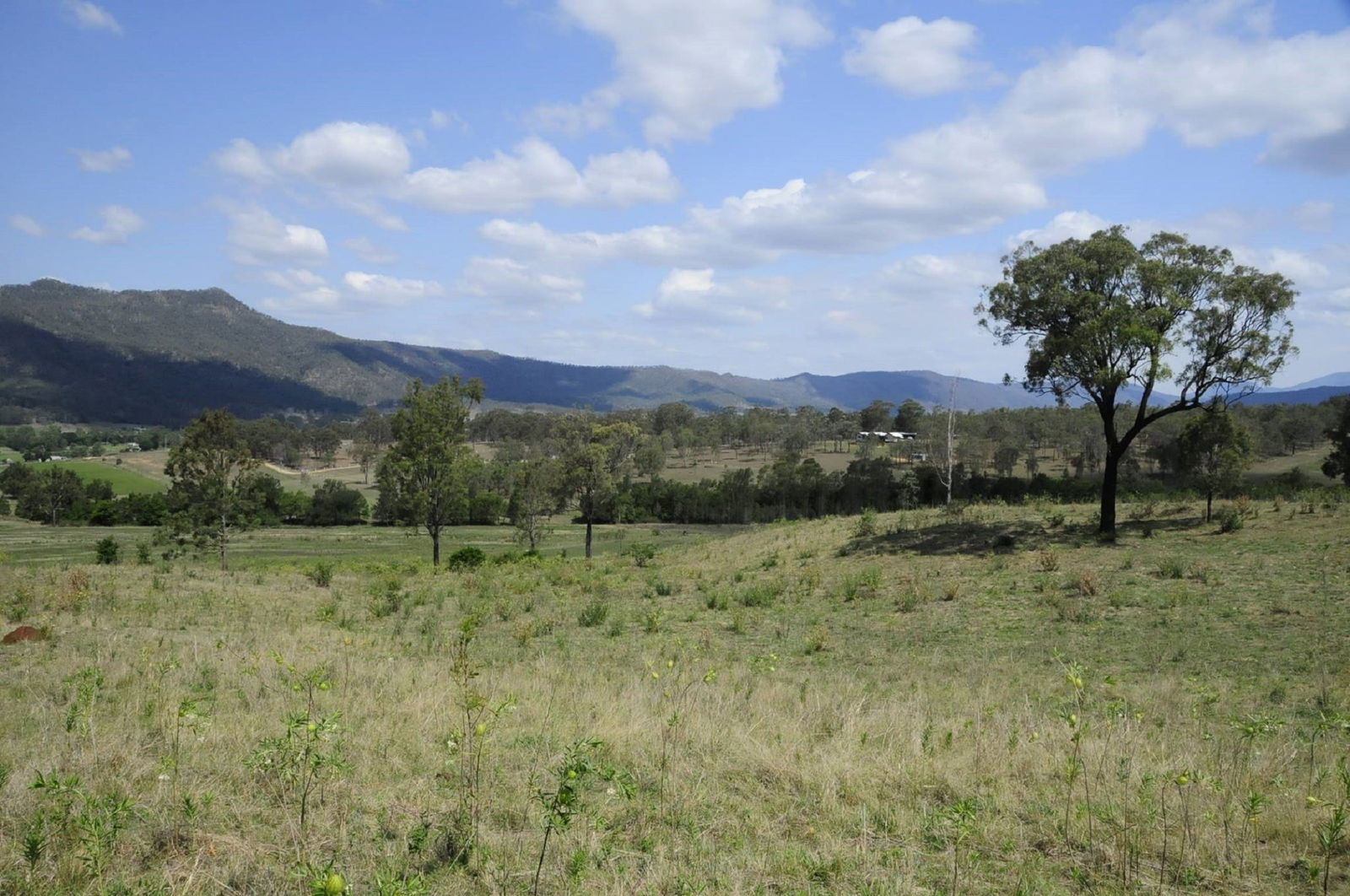 Thornton QLD Accommodation Australia