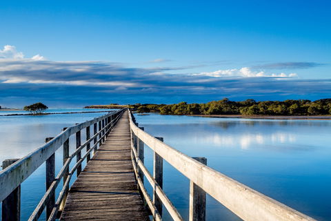 Urunga Boardwalk - Whitsundays Tourism 1
