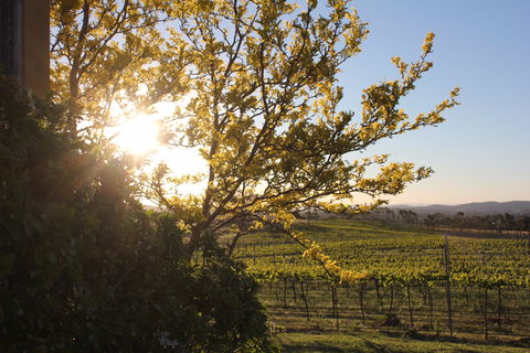 Wine Trail: Queanbeyan-Palerang - Tourism Bookings 1