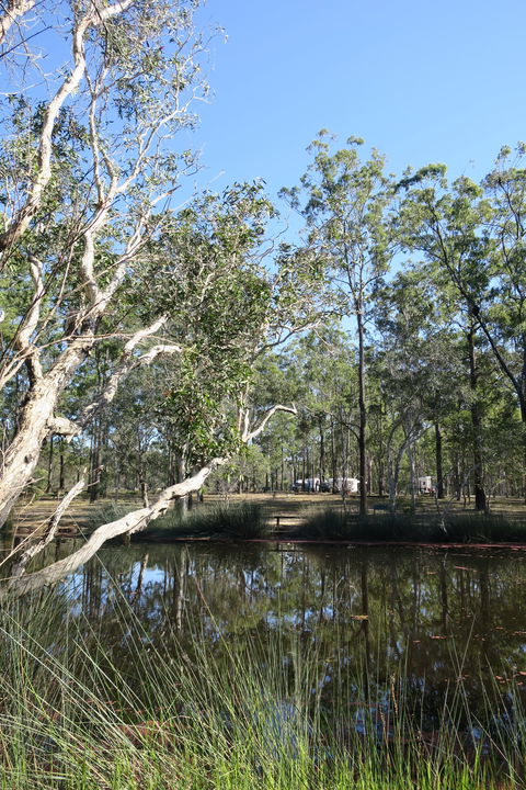 Wongi State Forest - Tourism Bookings 0