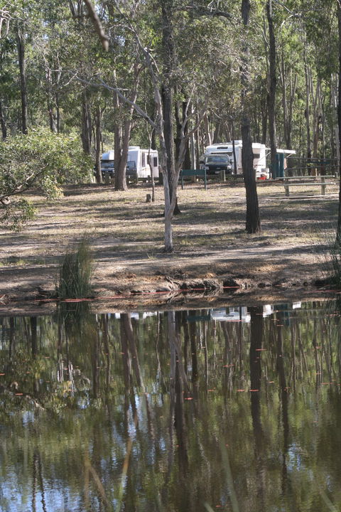 Wongi State Forest - Tourism Bookings 1