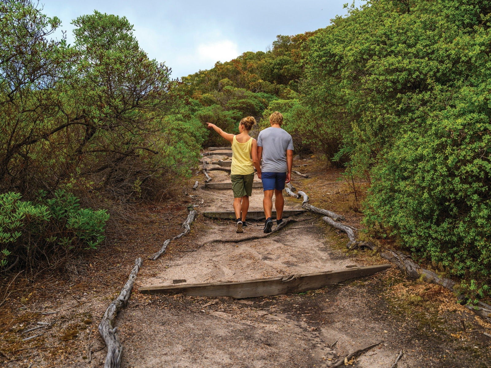 Woody Island Nature Reserve Logo and Images