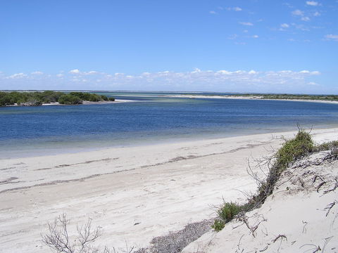 Acraman Creek Conservation Park - Attractions Perth 0