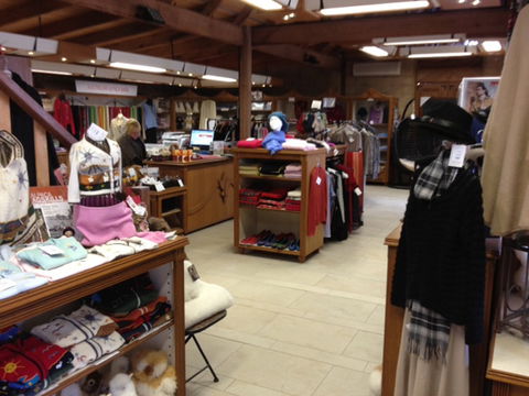 Australian Alpaca Barn - Pokolbin - Sunshine Coast Guide 1