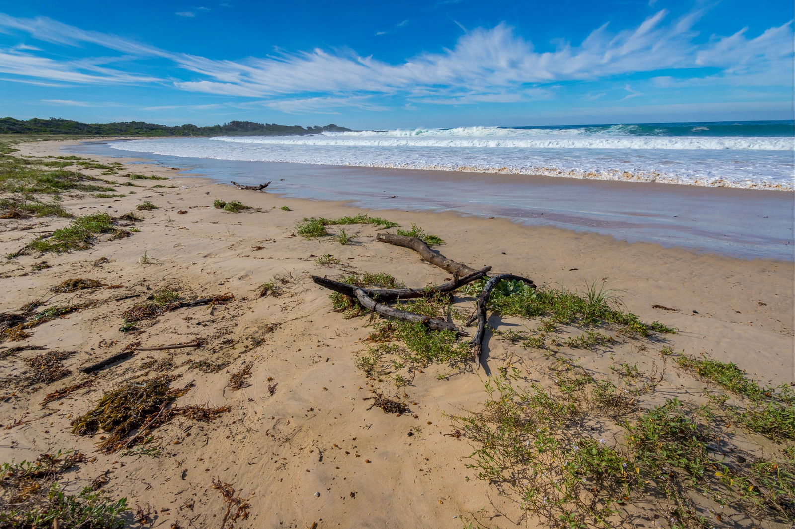 Avenue Beach Logo and Images