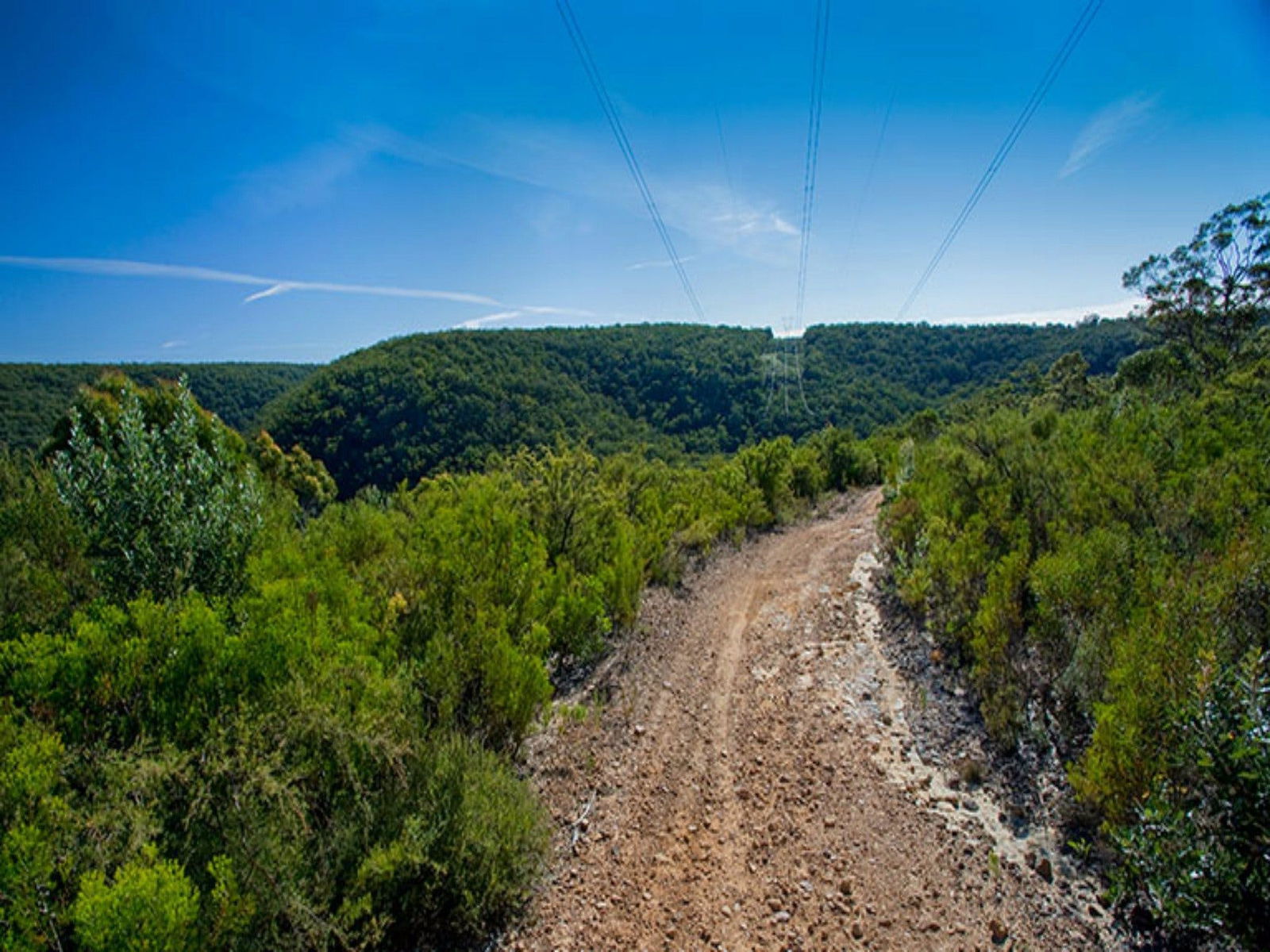 Bargo State Conservation Area Logo and Images