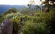 Binna Burra - thumb 1