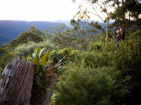 Binna Burra - Whitsundays Tourism 1
