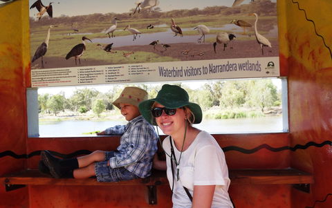 Bird Watching In Narrandera - Accommodation Broken Hill 0