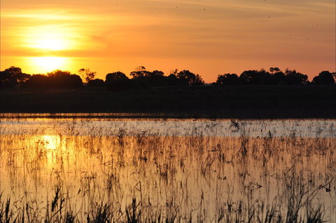Bool Lagoon Game Reserve And Hacks Lagoon Conservation Park - Tourism Bookings 0