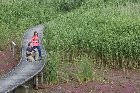 Bool Lagoon Game Reserve And Hacks Lagoon Conservation Park - Tourism Bookings 2