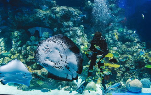 Cairns Aquarium - Accommodation Port Macquarie 1