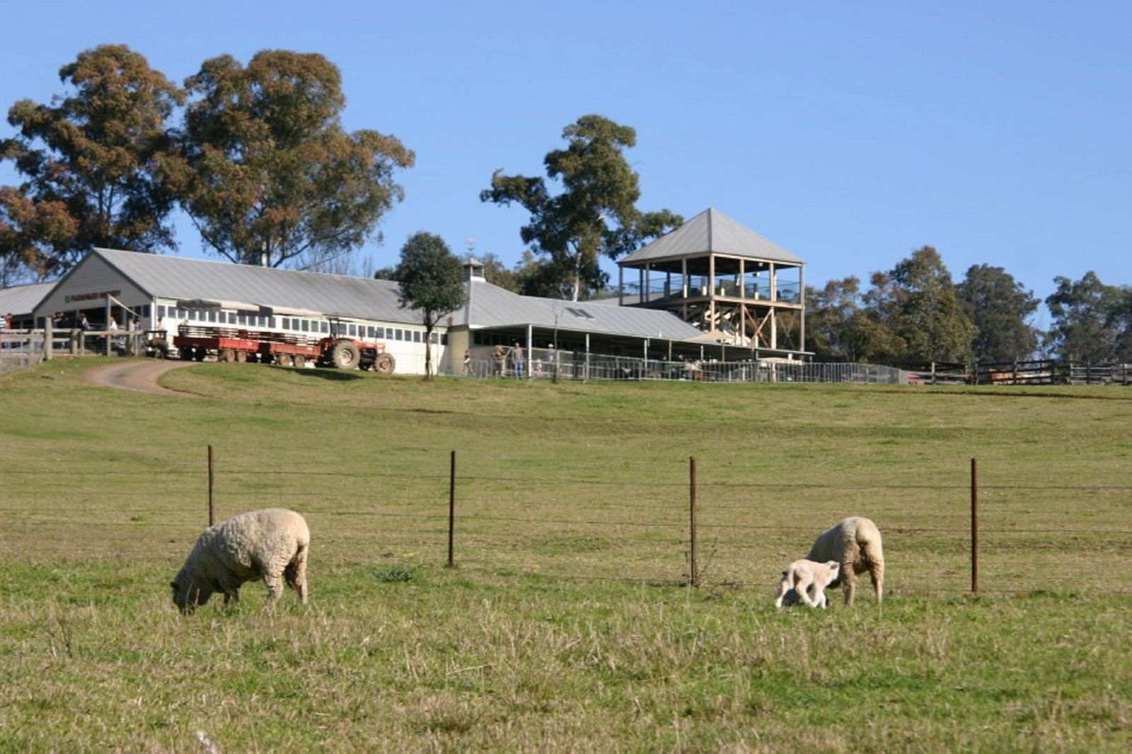 Calmsley Hill City Farm Logo and Images