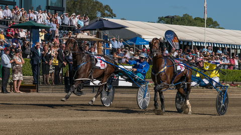Club Menangle - Accommodation Batemans Bay 2