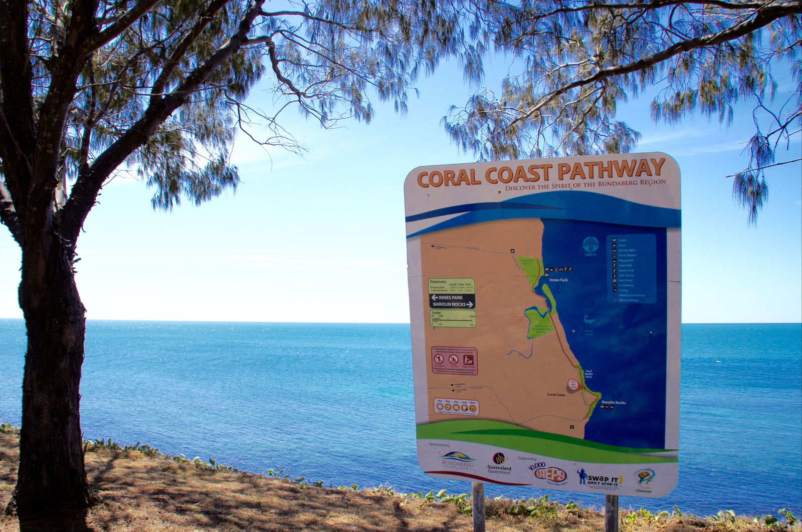 Coral Cove Logo and Images