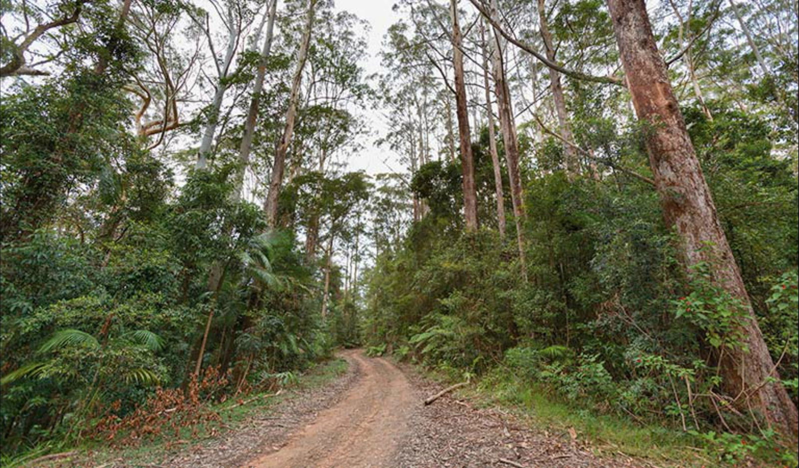 End Peak walking track Logo and Images
