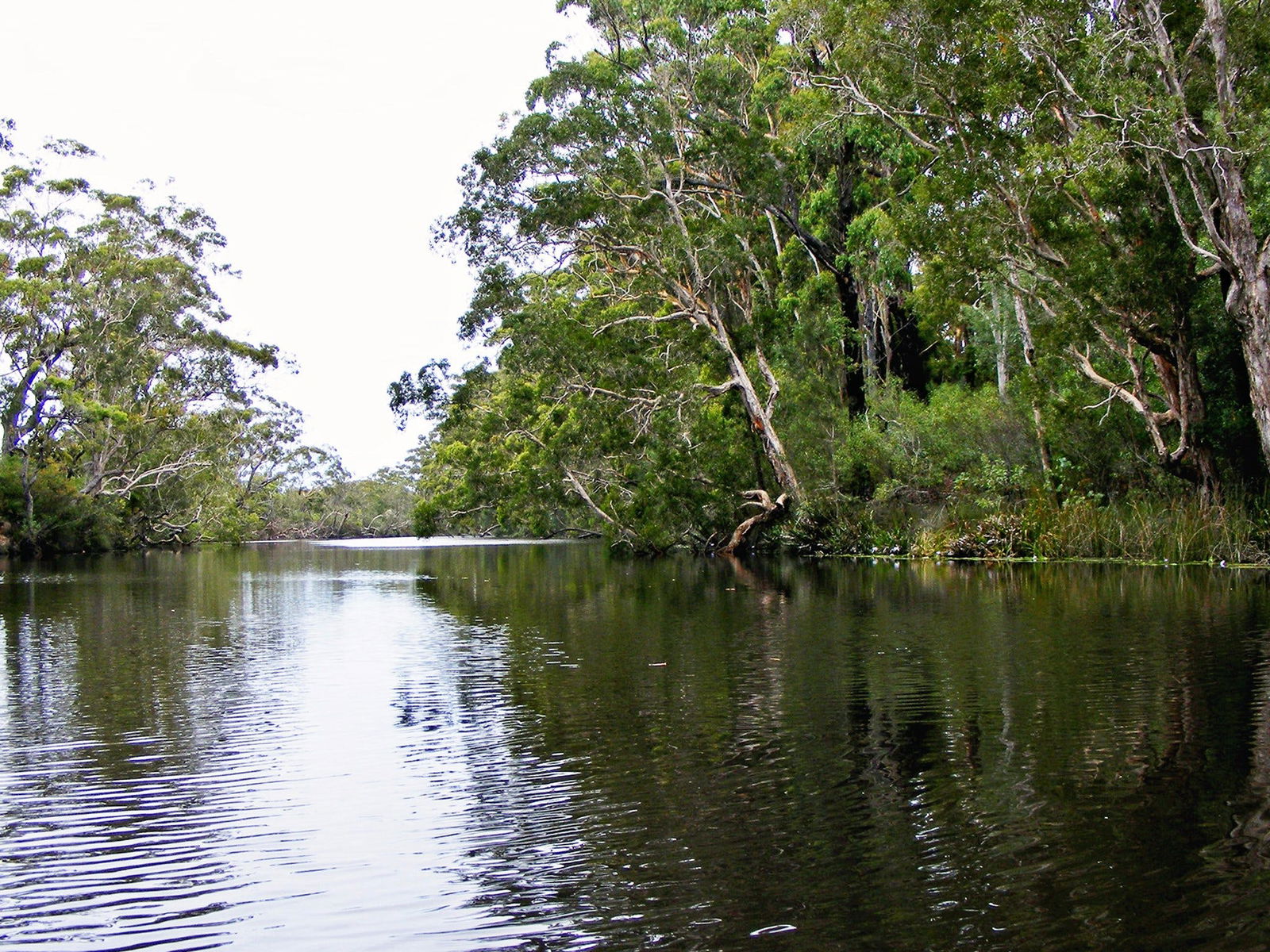 Esk River Logo and Images