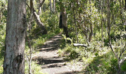 Euglah Rock Walking Track - Accommodation QLD 0