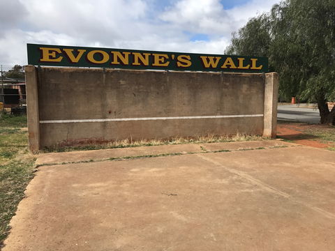 Evonne Goolagong-Cawley Wall - Accommodation Nelson Bay 0