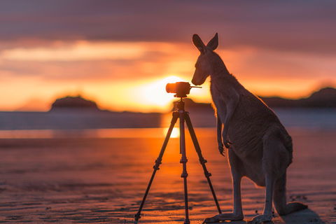 Explore The Mackay Region In Three Days - Accommodation Noosa 0