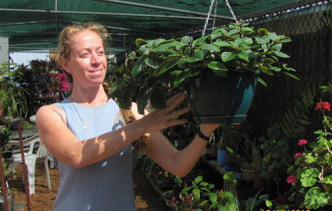 Folk Art Cooperative - Kawana Tourism 1