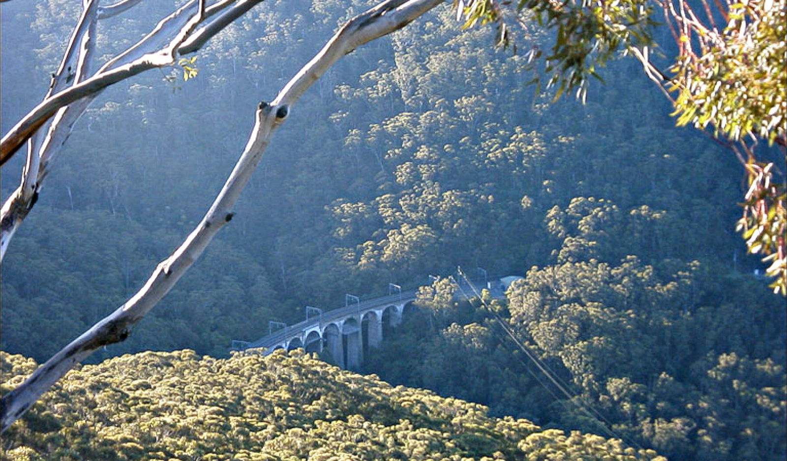 Forest Walk to Sublime Point Track Logo and Images