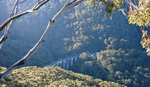 Forest Walk To Sublime Point Track - Accommodation Brisbane 0