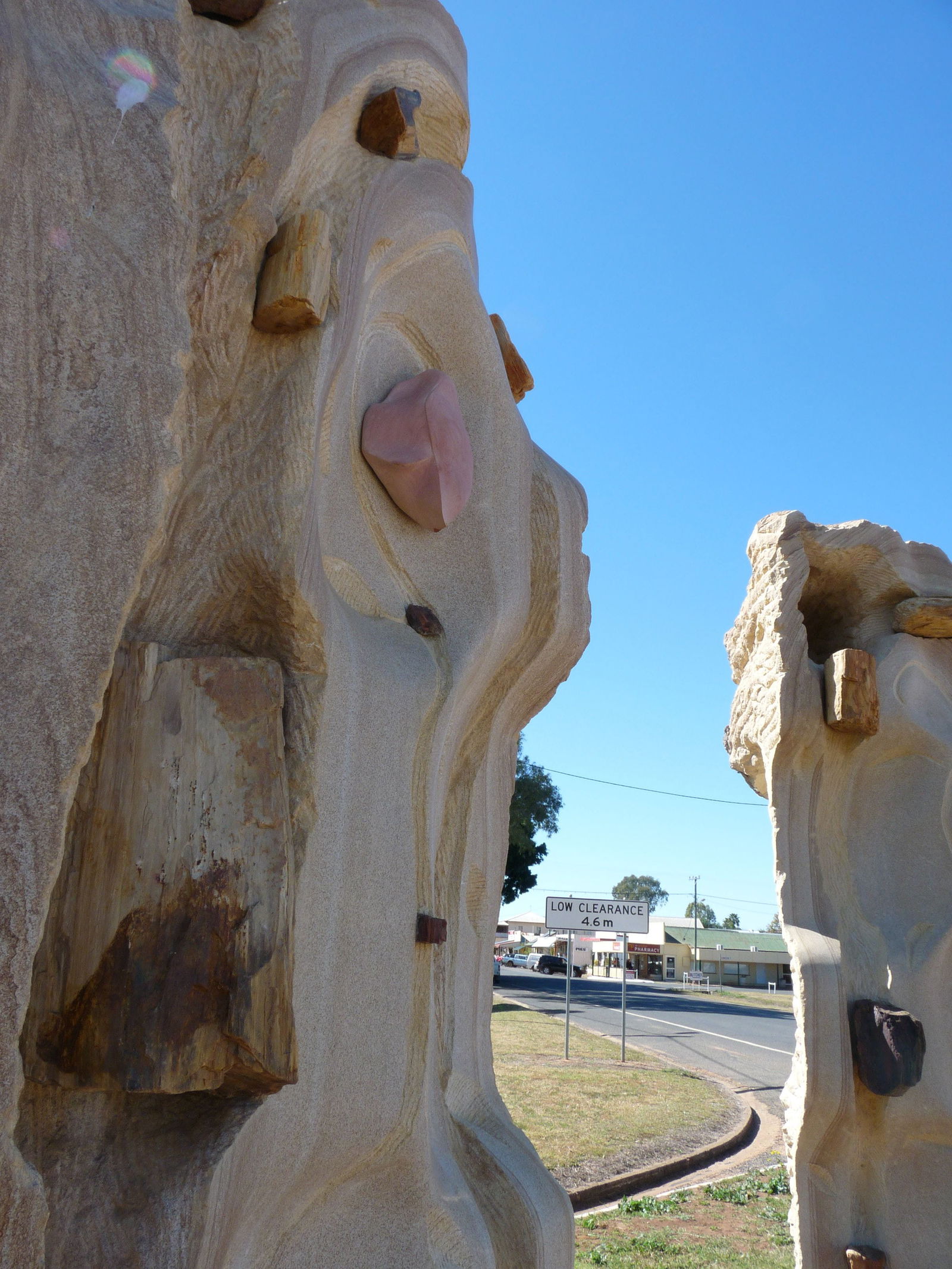 Fossilised Forrest Sculptures Logo and Images