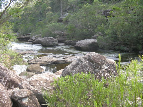 Georges River Nature Reserve - Attractions Perth 1