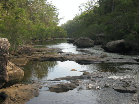 Georges River Nature Reserve - Attractions Perth 2