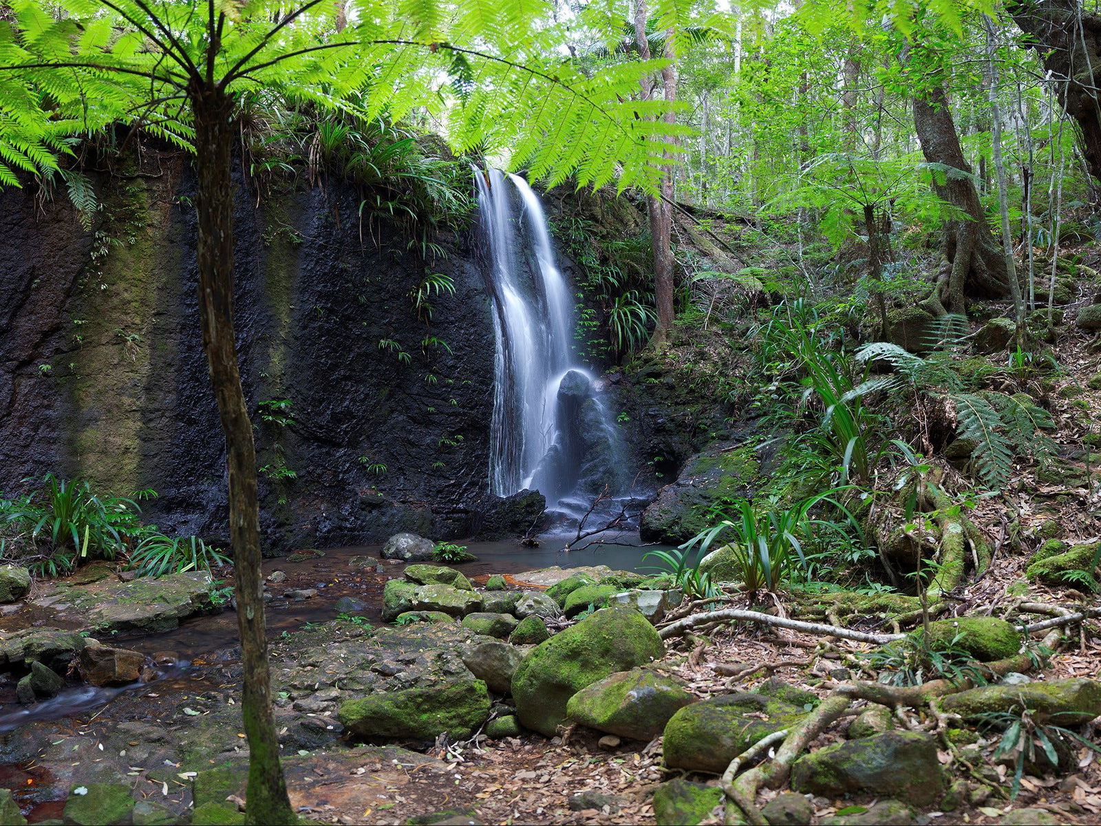 Gold Coast Hinterland Great Walk Logo and Images