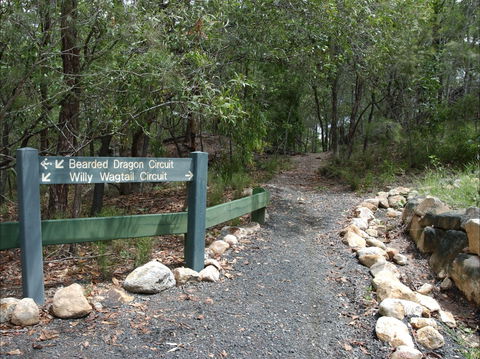 Haig Street Quarry Bushland Reserve Trails - Gold Coast 4U 1