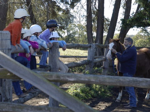 Harlow Park Horse Riding - Redcliffe Tourism 2