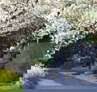 Japanese and Australian War Cemeteries - Wagga Wagga Accommodation
