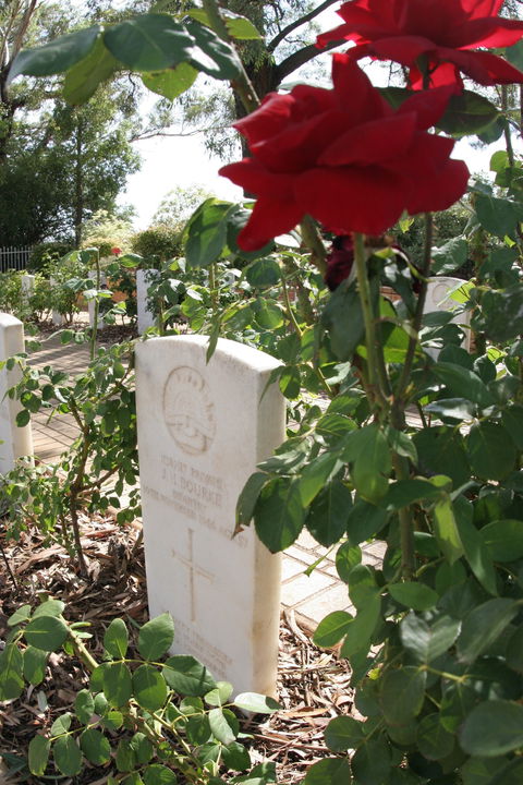 Japanese And Australian War Cemeteries - Yamba Accommodation 1
