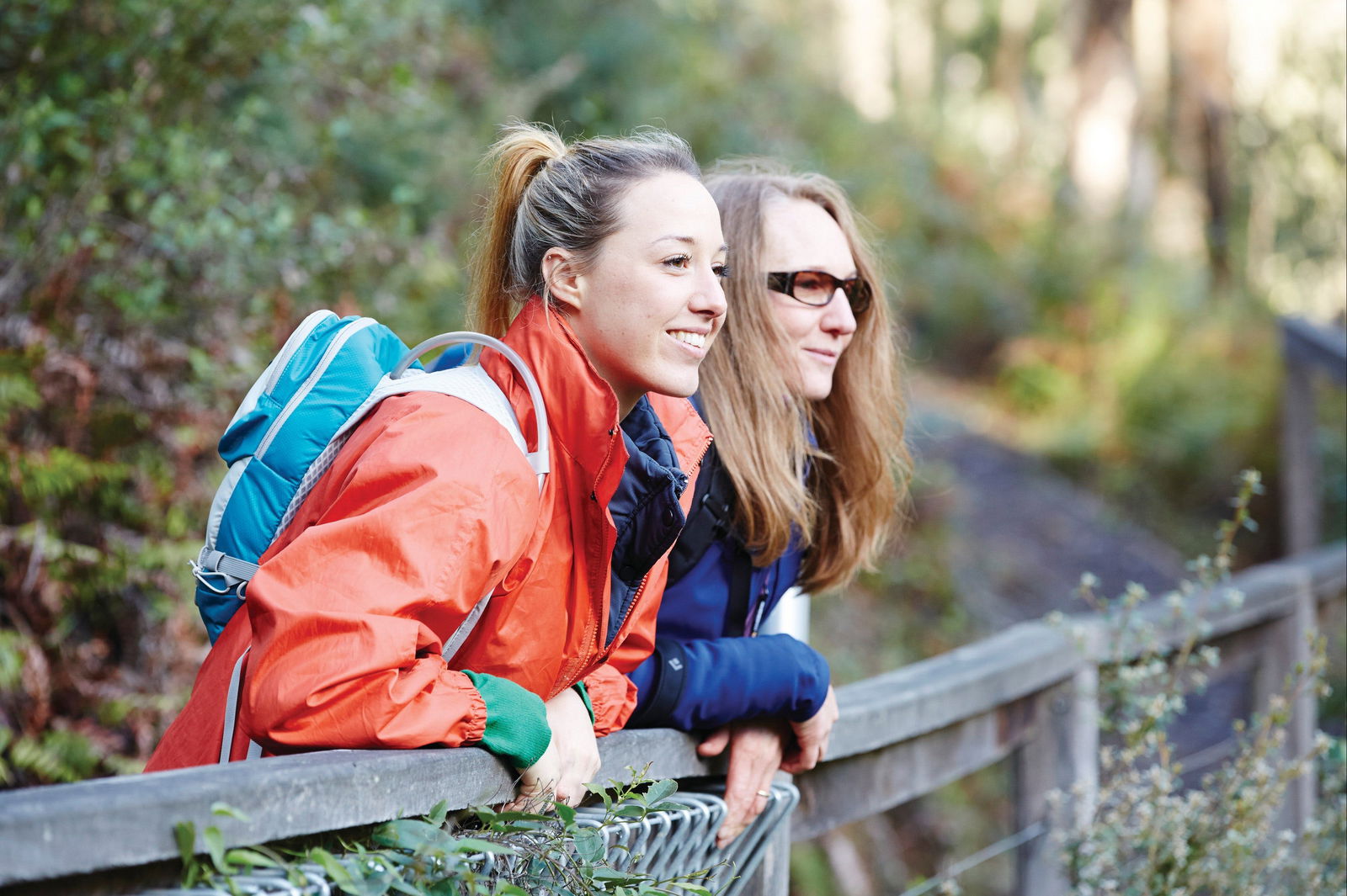 Kinglake National Park Logo and Images